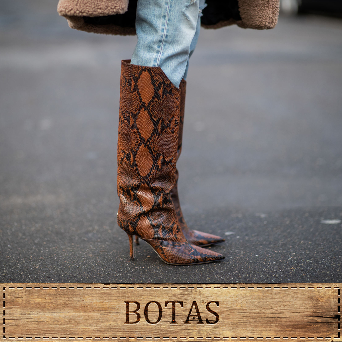 JR Western » DAMA - JR Western
